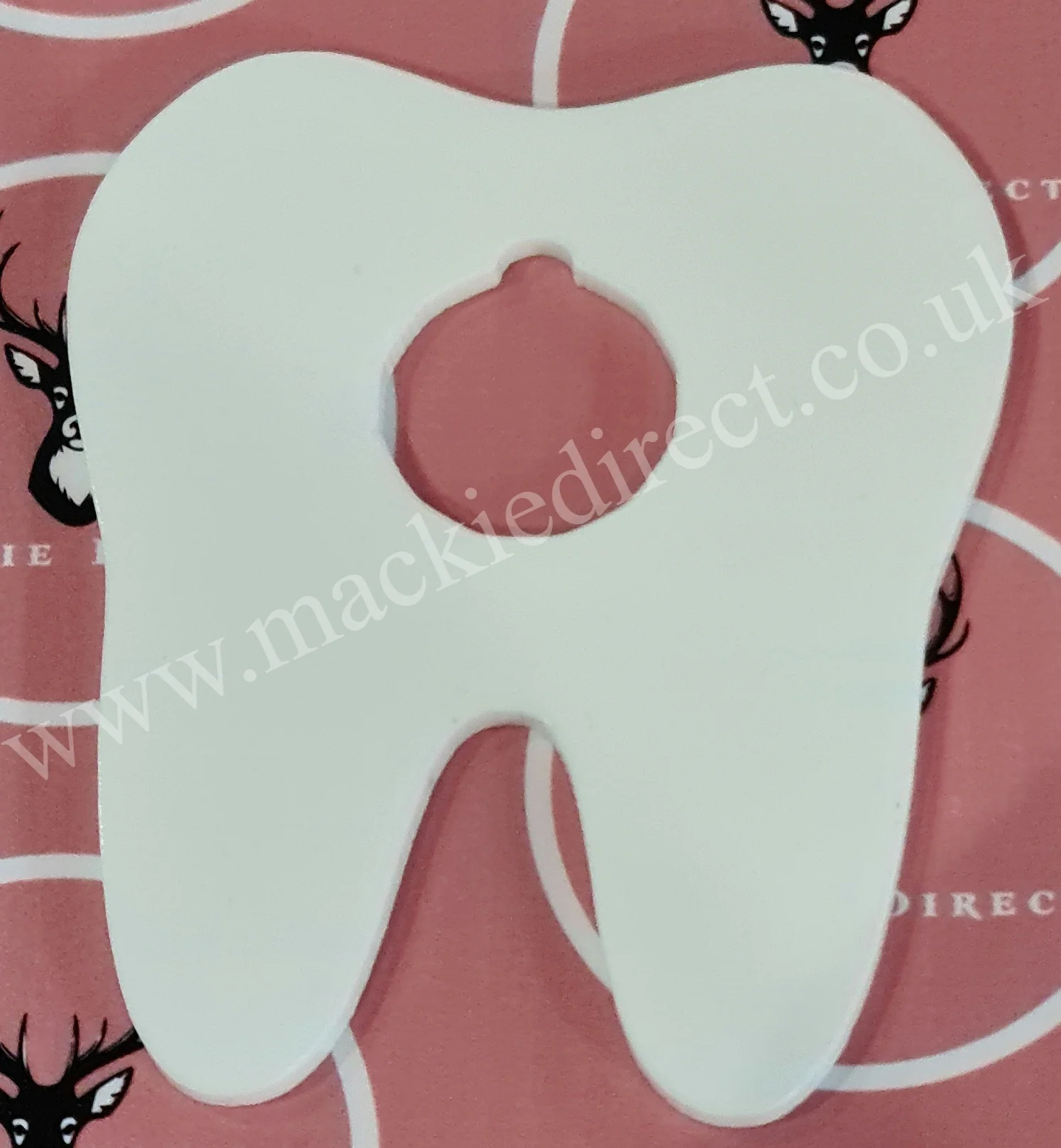 Acrylic Tooth Fairy Coin Holders