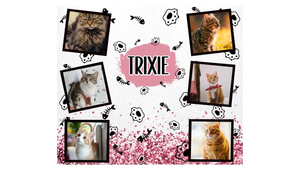 Cat Photo 20oz Tumbler Sublimation Print