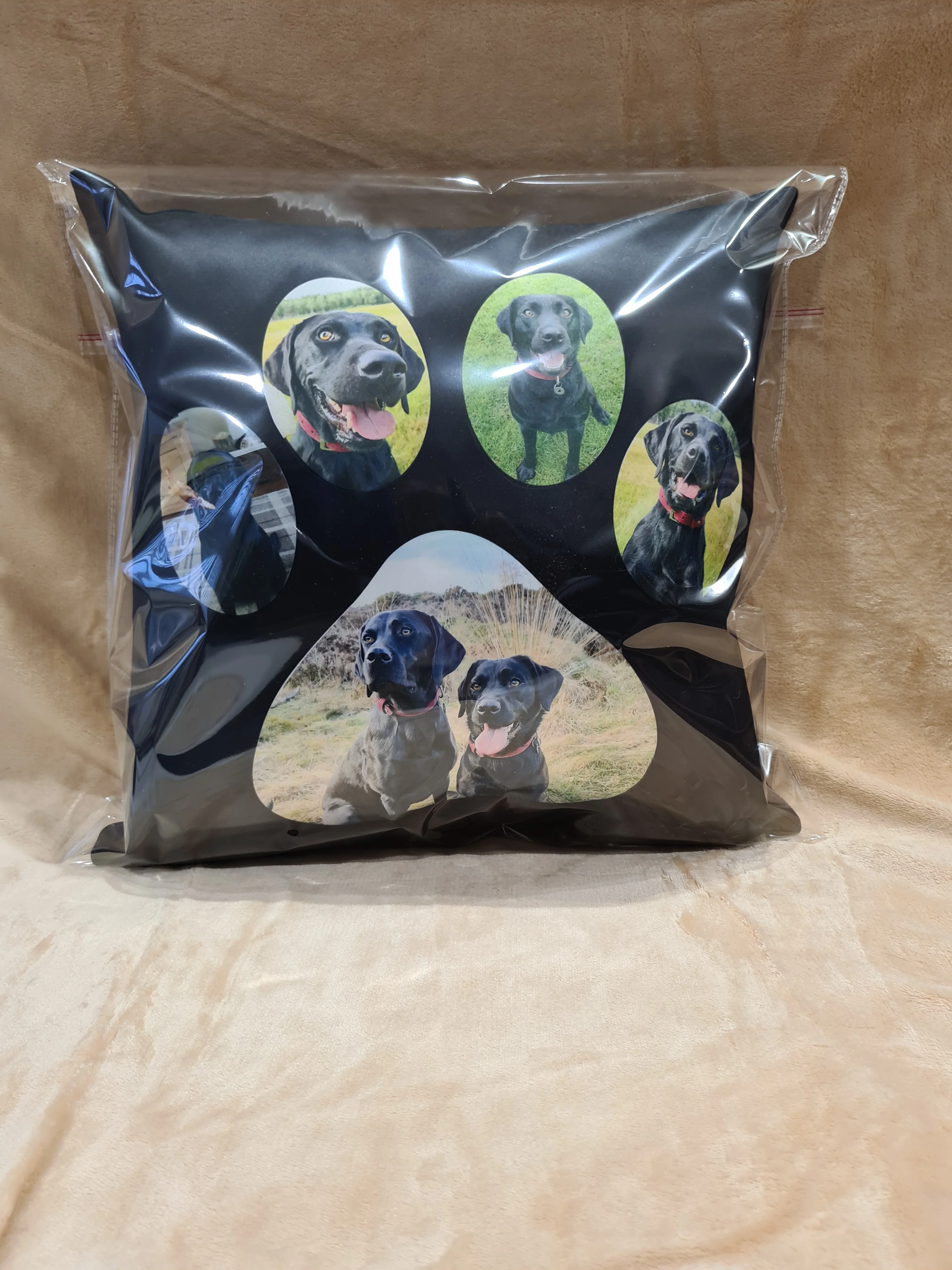 Clear Cellophane Cushion Presentation Bag