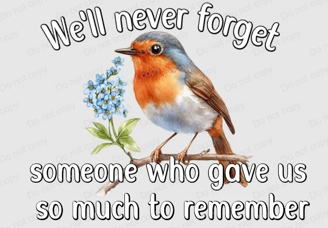 UVDTF Robin Forget Me Not - Image 2